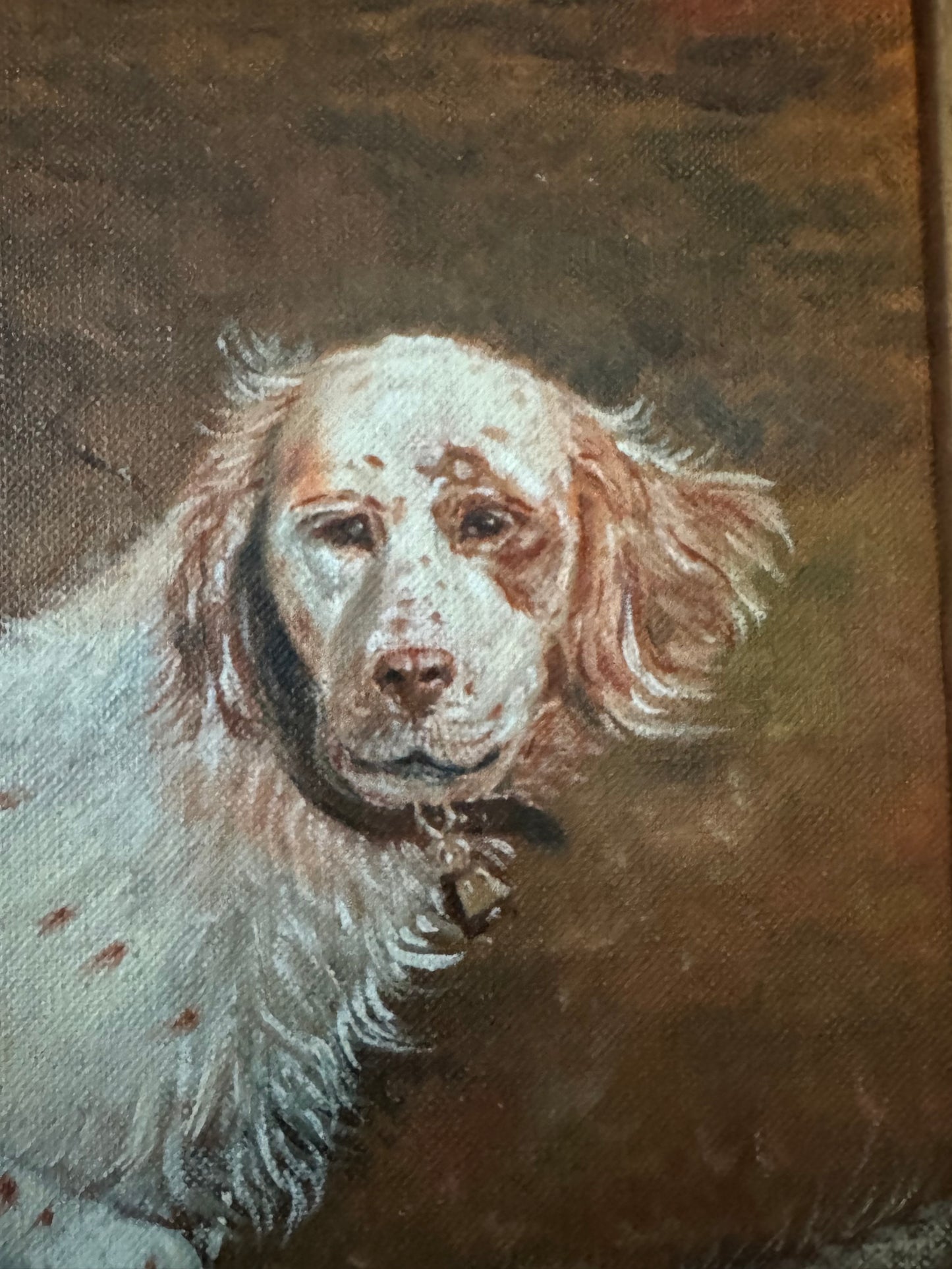 “Steve’s Dog” by C. Dyer, Placerville, CA – Original Oil Painting